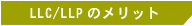 LLC�i������Ёj�ELLP�̃����b�g