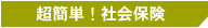 ���ȒP�I�J���ی�
