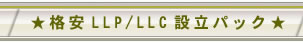 LLP LLC�ݗ��p�b�N