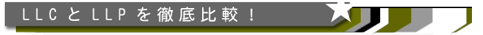 LLC�i������Ёj�@LLP�̔�r