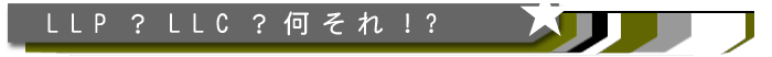 LLP�ELLC�i������Ёj�ɂ���