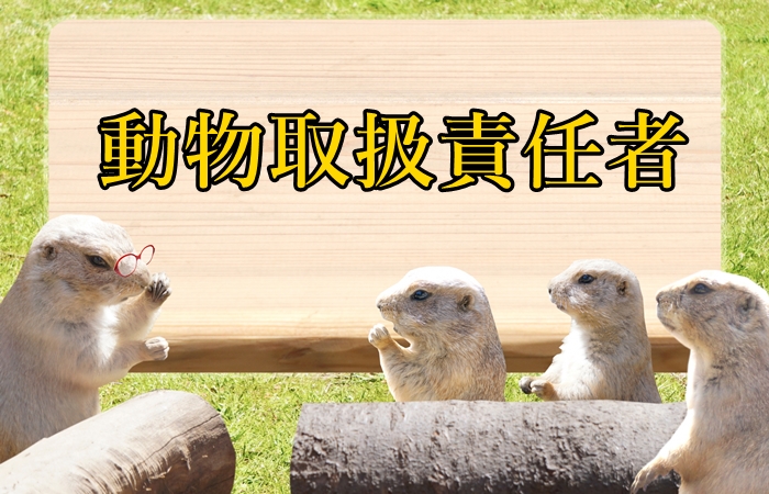 動物取扱責任者