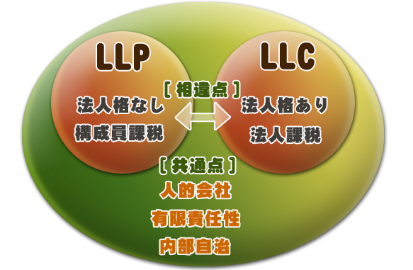 ＬＬＰ　ＬＬＣ