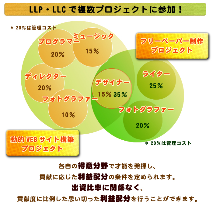 LLC（合同会社） LLP