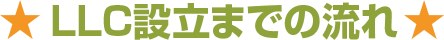 LLC設立までの流れ