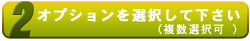 オプションを選択して下さい