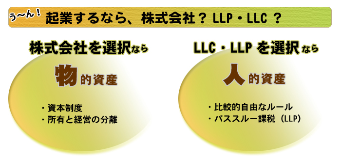 ＬＬＰ　ＬＬＣ